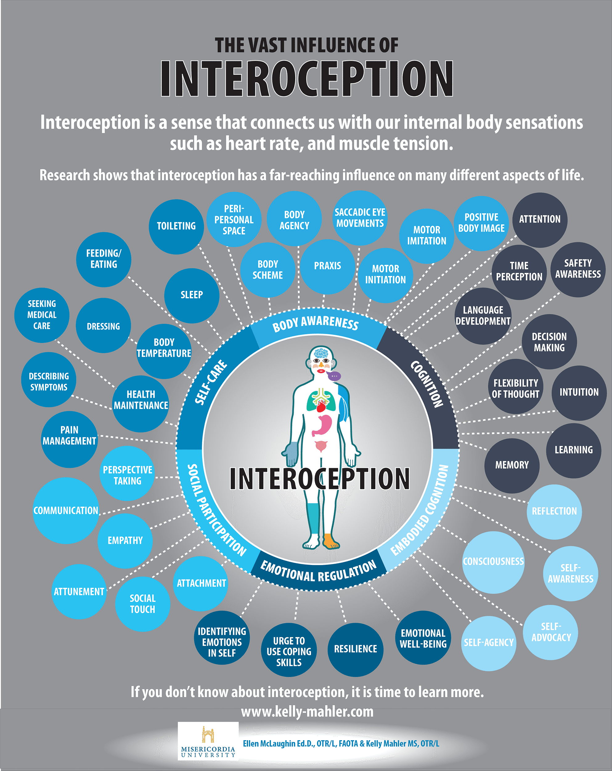 The-Vast-Influence-of-Interoception-1